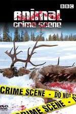 Watch Animal Crime Scene Watch123movies