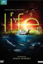 Watch Life Watch123movies