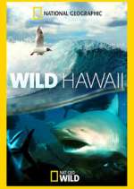 Watch Wild Hawaii Watch123movies