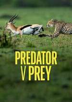 Watch Predator v Prey Watch123movies