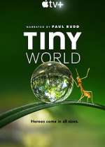 Watch Tiny World Watch123movies