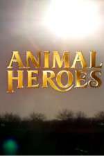 Watch Animal Heroes Watch123movies