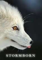 Watch Stormborn Watch123movies