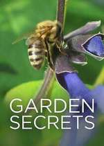 Watch Garden Secrets Watch123movies