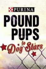Watch Purina Pound Pups To Dog Stars Watch123movies
