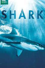 Watch Shark Watch123movies