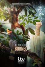 Watch Judi Dench\'s Wild Borneo Adventure Watch123movies