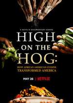 Watch High on the Hog: How African American Cuisine Transformed America Watch123movies