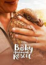 Watch Baby Animal Rescue Watch123movies