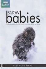 Watch Snow Babies Watch123movies