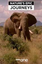 Watch Nature's Epic Journeys Watch123movies